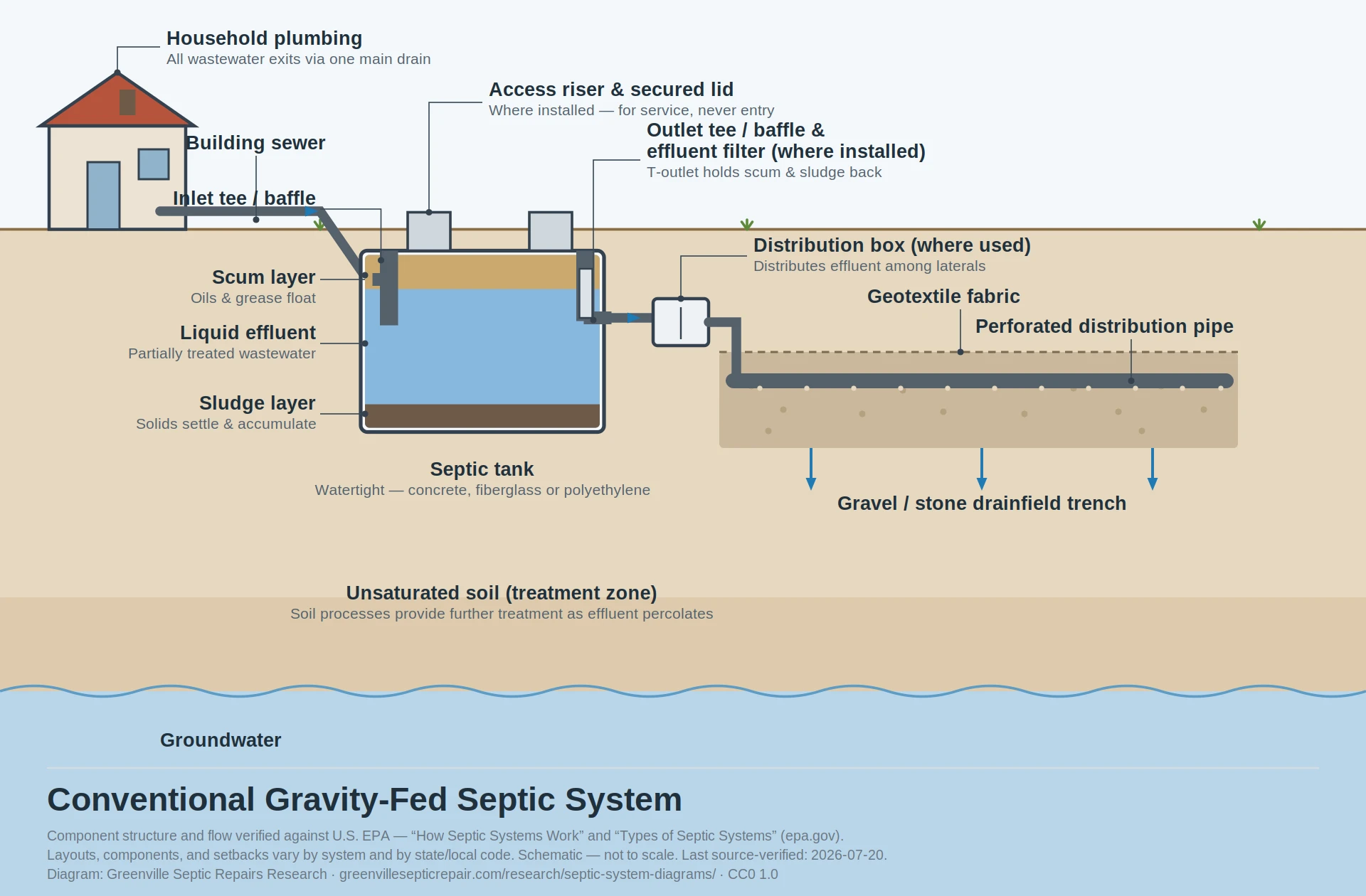 Cross-section of a conventional gravity septic system: a house connected by a building sewer to a septic tank showing scum, liquid effluent, and sludge layers with inlet and outlet tees, then a distribution box feeding a perforated distribution pipe in a gravel drain-field trench, with effluent percolating through unsaturated soil toward groundwater.